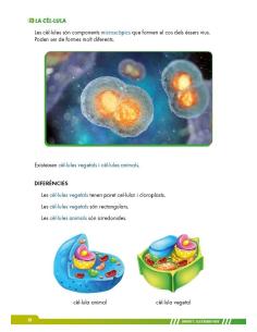 Ciències de la naturalesa 5. Adaptació amb suports visuals 2