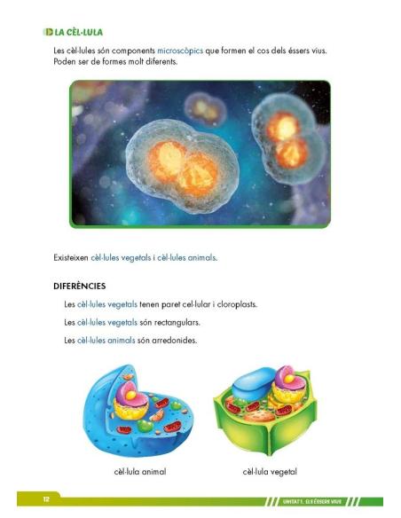Ciències de la naturalesa 5. Adaptació amb suports visuals