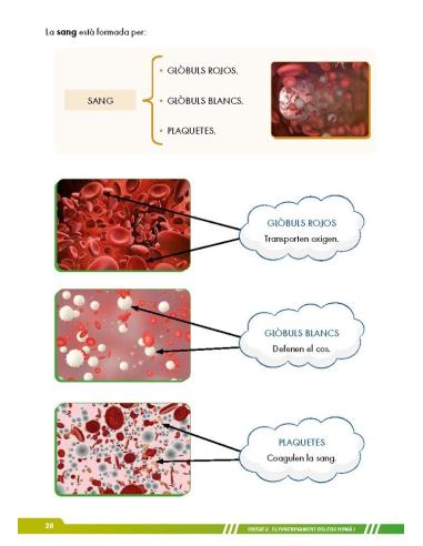 Ciències de la naturalesa 6. Adaptació amb suports visuals