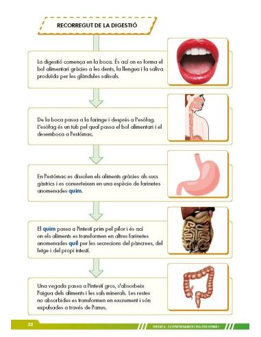 Ciències de la naturalesa 6. Adaptació amb suports visuals