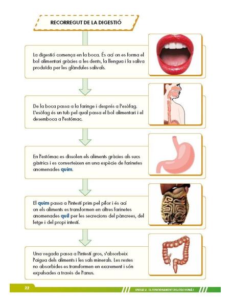 Ciències de la naturalesa 6. Adaptació amb suports visuals