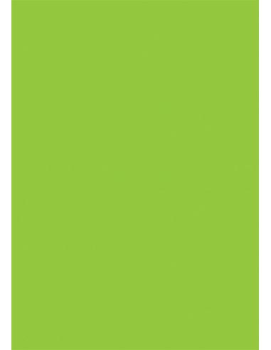 Caligrafía 2. Cuadrícula