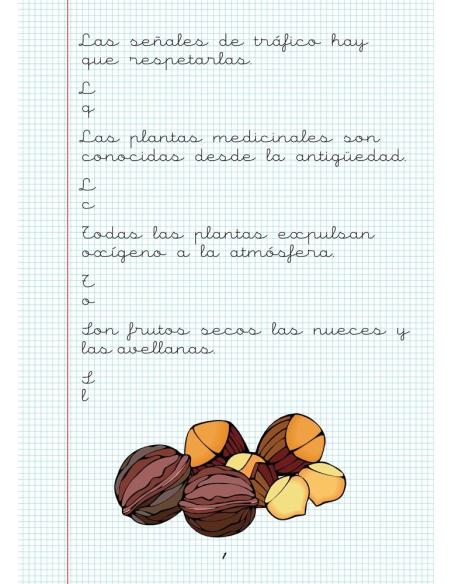 Caligrafía 20. Cuadrícula