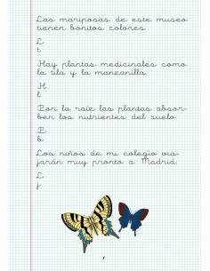 Caligrafía 22. Cuadrícula 2