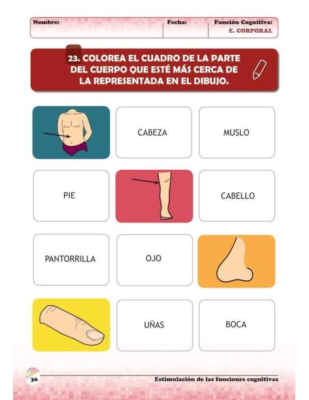 Estimulación de las funciones cognitivas. Nivel 2. Cuaderno 6: Esquema corporal