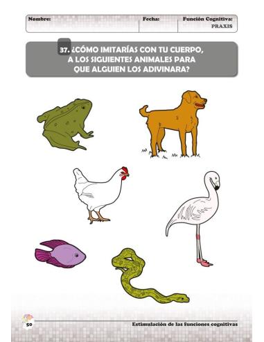 Estimulación de las funciones cognitivas. Nivel 2. Cuaderno 9: Praxis