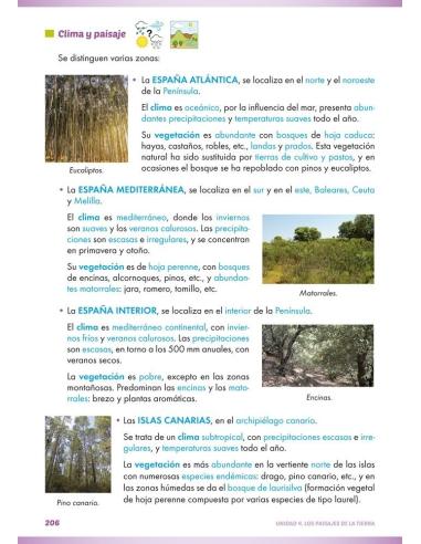 Ciencias sociales: Geografía e historia 1. Educación Secundaria. ACI significativa