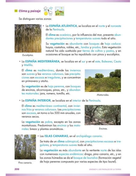 Ciencias sociales: Geografía e historia 1. Educación Secundaria. ACI significativa