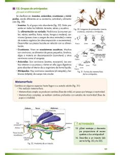 Ciencias de la naturaleza: Biología y geología 1. Educación Secundaria. Programa de refuerzo 2