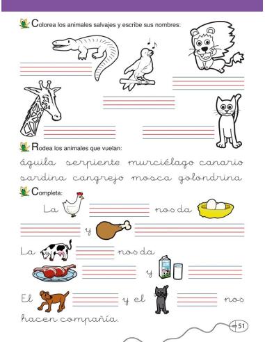 Lengua castellana y literatura 1. Educación Primaria. Libro C