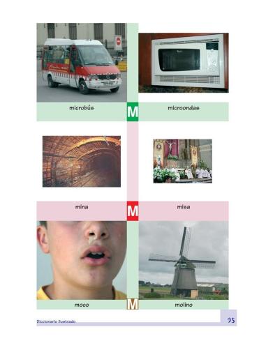 Diccionario ilustrado. Proyecto Integra Junior