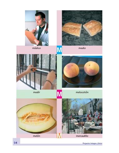 Diccionario ilustrado. Proyecto Integra Junior