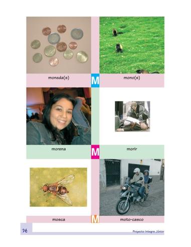 Diccionario ilustrado. Proyecto Integra Junior