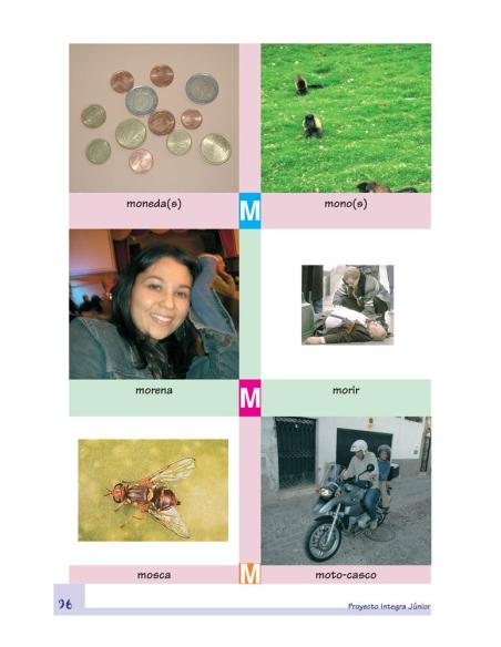 Diccionario ilustrado. Proyecto Integra Junior