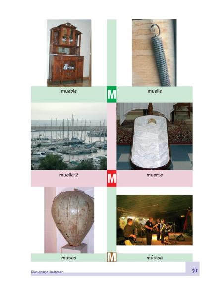 Diccionario ilustrado. Proyecto Integra Junior