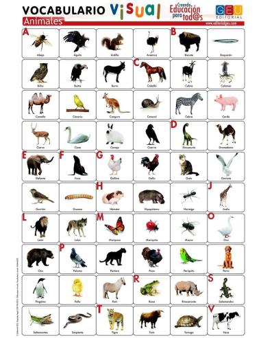Lámina de vocabulario visual. Animales