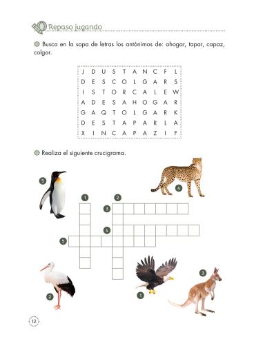 Lecturas comprensivas 11