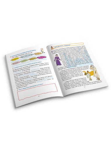 Lecturas comprensivas 13