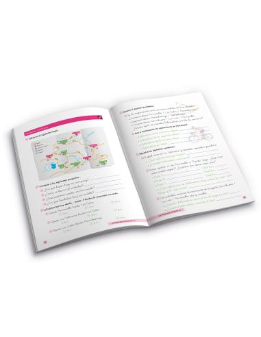 Mis Problemas Favoritos 3.3 - Unidades de...