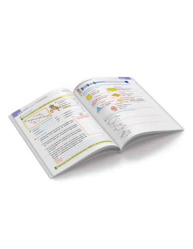 10 sesiones para trabajar los contenidos básicos 6