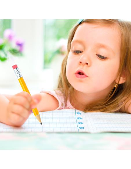 Pack de libretas en cuadrícula con pauta sombreada 8mm