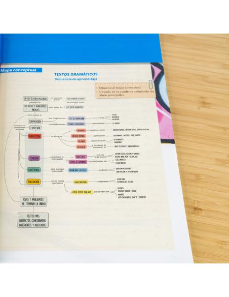 Programa de Refuerzo del Aprendizaje para mejorar la competencia comunicativa en Lengua Castellana y Literatura. 2º ESO