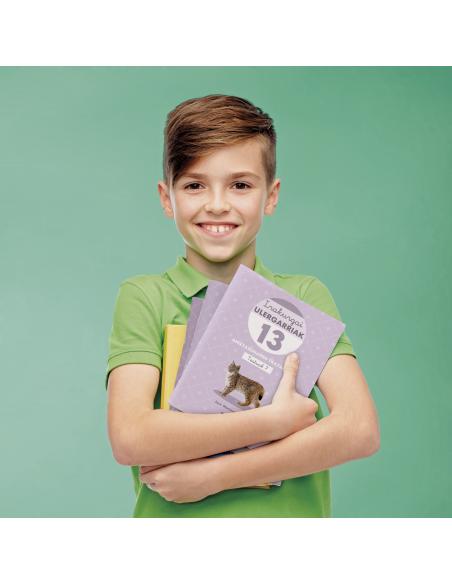 Irakurgai ulergarriak 13