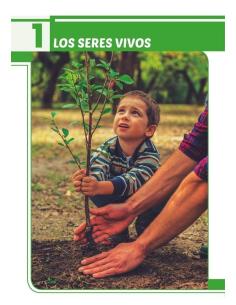 Ciencias de la naturaleza 5. Adaptación curricular con apoyos visuales 2