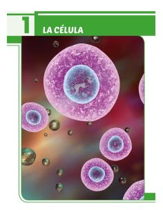 Ciencias de la Naturaleza 6. Adaptación curricular con apoyos visuales 2