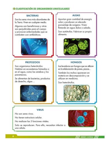 Ciencias de la Naturaleza 6. Adaptación curricular con apoyos visuales