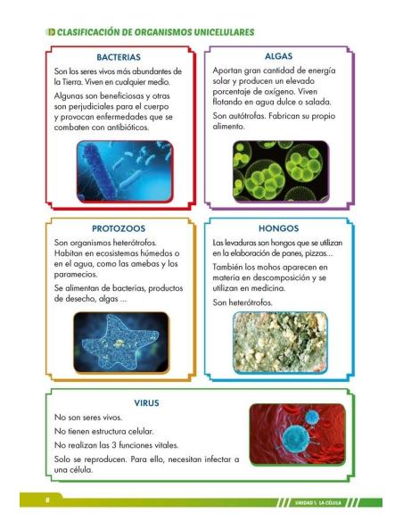 Ciencias de la Naturaleza 6. Adaptación curricular con apoyos visuales