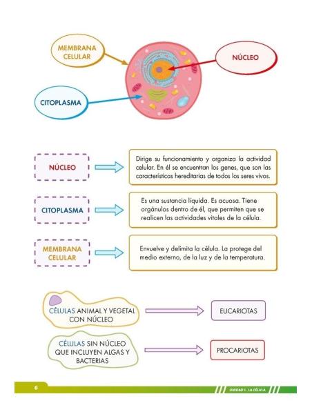 Ciencias de la Naturaleza 6. Adaptación curricular con apoyos visuales