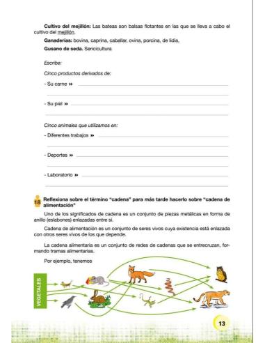 Palabras. Expresión y vocabulario · Nivel 1. Cuaderno 2: El mundo animal