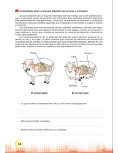 Palabras. Expresión y vocabulario · Nivel 2. Cuaderno 2: El mundo animal 2