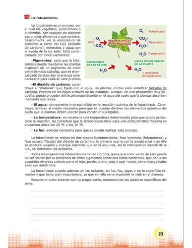 Palabras. Expresión y vocabulario · Nivel 2. Cuaderno 3: El mundo vegetal