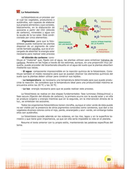 Palabras. Expresión y vocabulario · Nivel 2. Cuaderno 3: El mundo vegetal