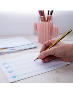 Pack de libretas en cuadrícula con pauta sombreada 8mm 2